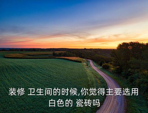 装修 卫生间的时候,你觉得主要选用白色的 瓷砖吗