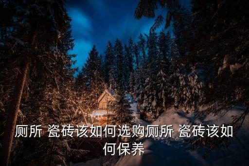 厕所 瓷砖该如何选购厕所 瓷砖该如何保养