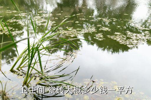  卫生间 瓷砖大概多少钱一平方