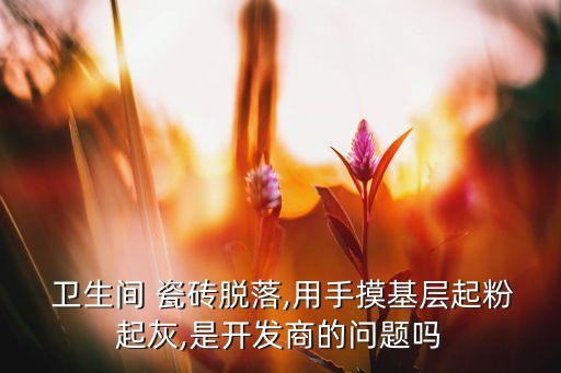 卫生间瓷砖缝灰掉了