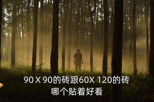 90Ⅹ90的砖跟60X 120的砖哪个贴着好看