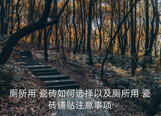 厕所用 瓷砖如何选择以及厕所用 瓷砖铺贴注意事项