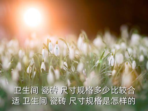 卫生间瓷砖墙面尺寸