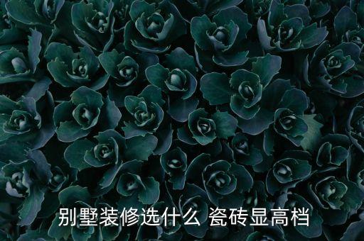 潮流别墅瓷砖效果图,农村别墅外墙瓷砖效果图大全