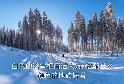 卫生间瓷砖白色搭配图片,厨房卫生间瓷砖搭配图片