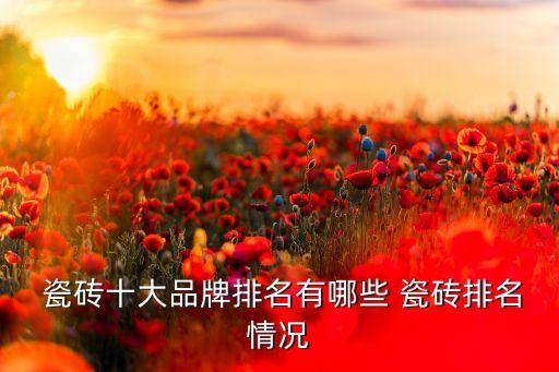 优等级瓷砖品牌,瓷砖优等级和AA级有什么区别