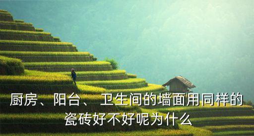 厨房、阳台、 卫生间的墙面用同样的 瓷砖好不好呢为什么