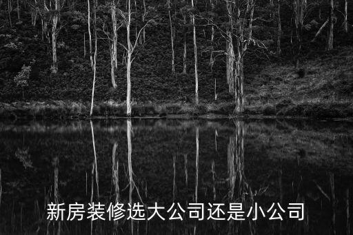 新房装修选大公司还是小公司