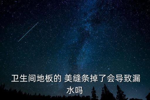 卫生间瓷砖美缝脱落