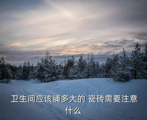 卫生间30乘30瓷砖,600乘1200瓷砖卫生间
