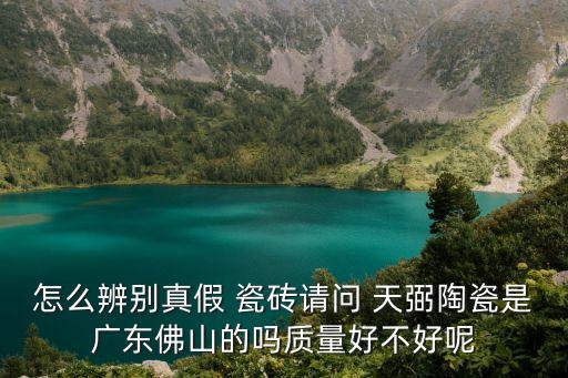 天弼瓷砖属于几线品牌