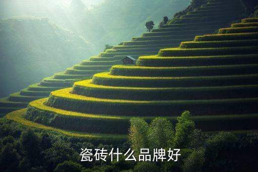 新手了解瓷砖品牌推荐哪个