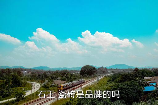 石王 瓷砖是品牌的吗
