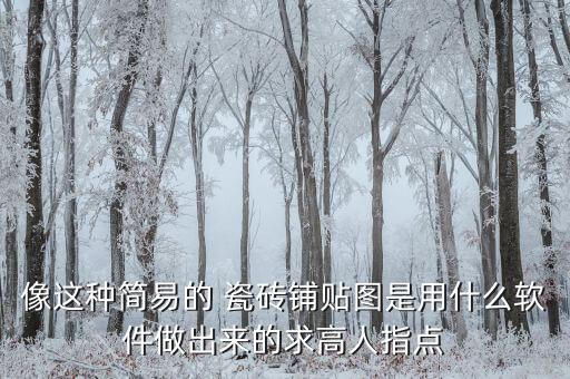像这种简易的 瓷砖铺贴图是用什么软件做出来的求高人指点