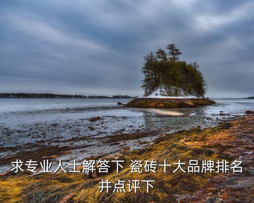 求专业人士解答下 瓷砖十大品牌排名并点评下