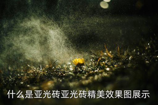 什么是亚光砖亚光砖精美效果图展示