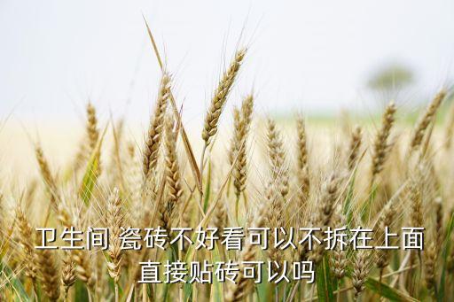  卫生间 瓷砖不好看可以不拆在上面直接贴砖可以吗