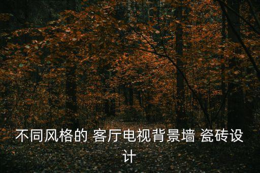 不同风格的 客厅电视背景墙 瓷砖设计