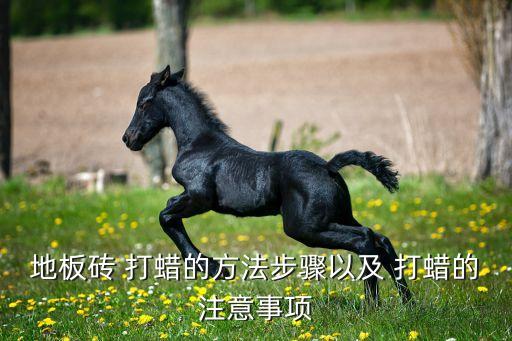 地板砖 打蜡的方法步骤以及 打蜡的注意事项
