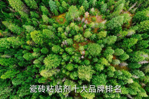 瓷砖胶和水泥品牌