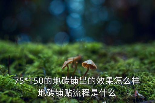 大板瓷砖摆放效果图,75*150大板瓷砖铺地效果图
