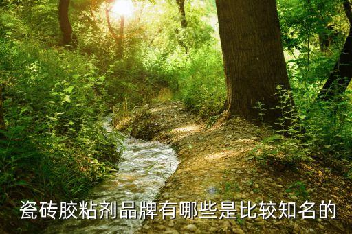  瓷砖胶粘剂品牌有哪些是比较知名的