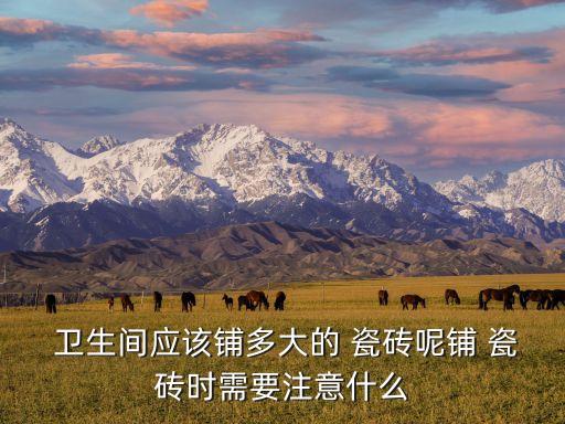  卫生间应该铺多大的 瓷砖呢铺 瓷砖时需要注意什么