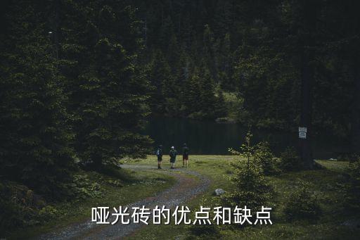 哑光瓷砖品牌分析