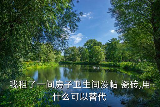 没有贴瓷砖的装修效果图,卫生间贴瓷砖装修效果图