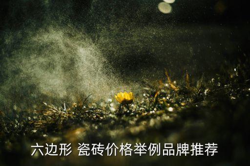 六边形 瓷砖价格举例品牌推荐