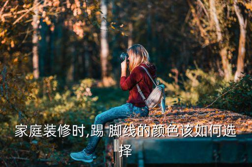 家庭装修时,踢 脚线的颜色该如何选择