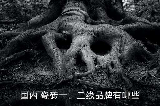 易鹏瓷砖是几线品牌,艺鹏瓷砖是几线品牌怎么样质量