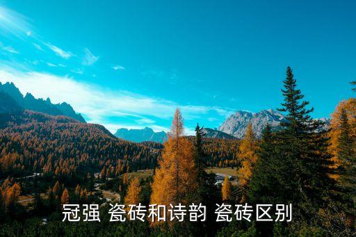 冠强 瓷砖和诗韵 瓷砖区别