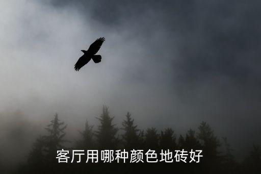 客厅用哪种颜色地砖好