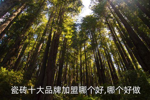  瓷砖十大品牌加盟哪个好,哪个好做