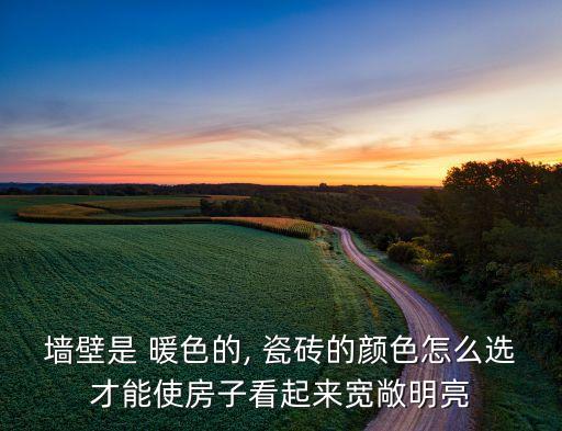 墙壁是 暖色的, 瓷砖的颜色怎么选才能使房子看起来宽敞明亮