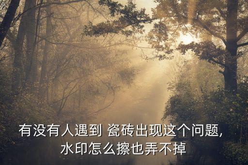 卫生间瓷砖水印清洗,瓷砖水印清洗小窍门