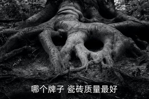 哪个牌子 瓷砖质量最好