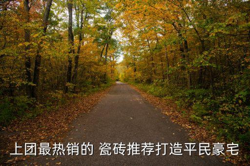 上团最热销的 瓷砖推荐打造平民豪宅