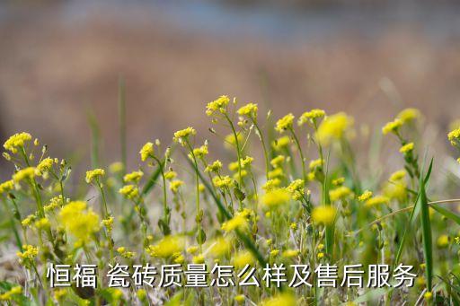  恒福 瓷砖质量怎么样及售后服务