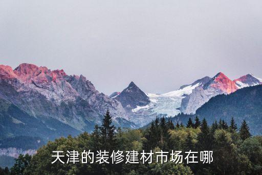  天津的装修建材市场在哪