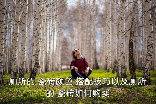 厕所的 瓷砖颜色 搭配技巧以及厕所的 瓷砖如何购买