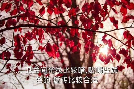 卫生间瓷砖颜色偏暗