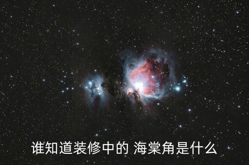 谁知道装修中的 海棠角是什么