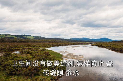  卫生间没有做美缝剂,怎样防止 瓷砖缝隙 渗水