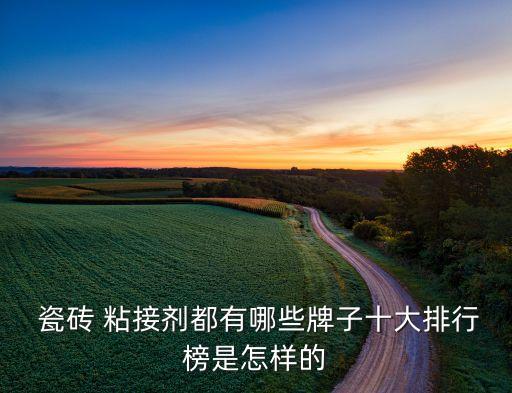 苏州瓷砖粘接剂品牌有哪些
