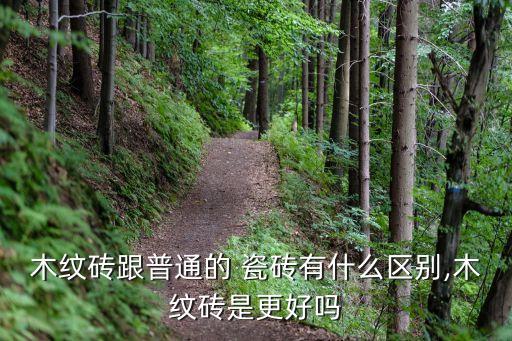 装修木质瓷砖效果图,深灰色瓷砖客厅装修效果图