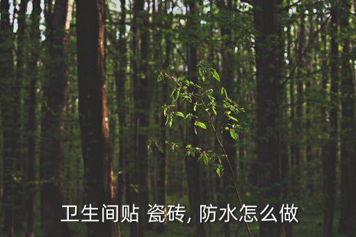  卫生间贴 瓷砖, 防水怎么做
