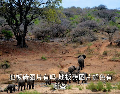 地面瓷砖地板效果图大全,瓷砖大厅地板造型效果图大全