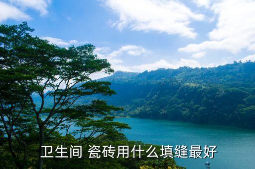  卫生间 瓷砖用什么填缝最好